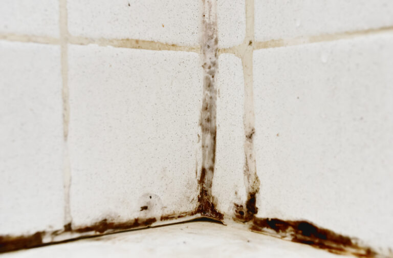 Preventing Tub Mold & Mildew